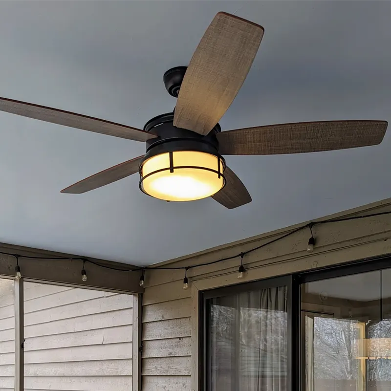 Palisade Fan Blue Mountain Fans